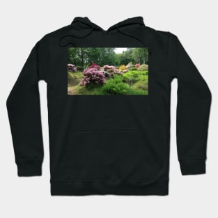 Rhododendron Park Hoodie